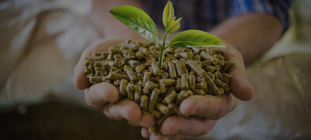 サステナビリティ